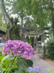 越谷香取神社(埼玉県)