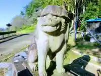 小幡八幡宮の狛犬