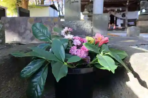 熊野福藏神社の手水