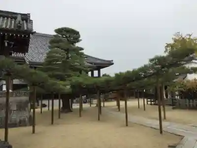 本福寺(滋賀県)