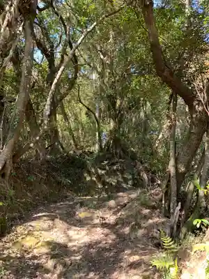 八坂神社の自然