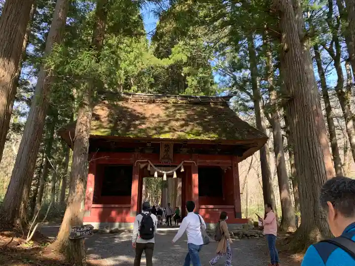 戸隠神社奥社の山門・神門