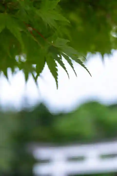 諏訪大社(長野県)