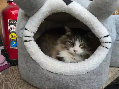 梅宮大社(京都府)