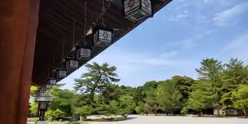 橿原神宮(奈良県)