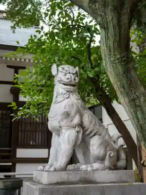 鳥越神社(東京都)