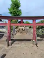 白山神社(千代田町萱野)(群馬県)