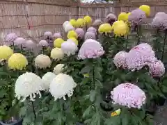 亀戸天神社の建物その他