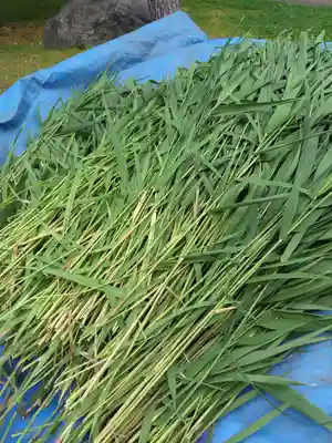 厚別神社(北海道)