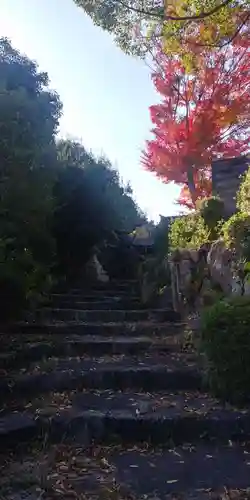佐久奈度神社のその他建物