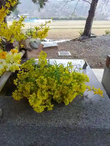 高司神社〜むすびの神の鎮まる社〜の手水舎