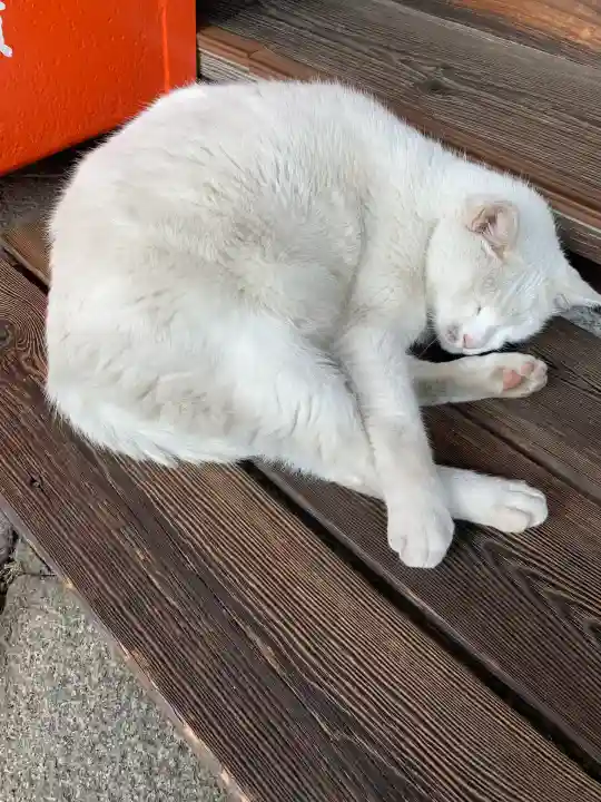 羽黒神社(岡山県)