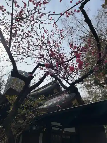愛宕神社の{uncategorized: "未分類", other: "その他", undefined: "問題あり", building: "その他建物", grave: "お墓", sacred_gate: "鳥居", guardian: "狛犬", statue: "像", buddha: "仏像", history: "歴史", nature: "自然", garden: "庭園", animal: "動物", pagoda: "塔", temizu: "手水舎", mountain_gate: "山門・神門", sanctuary: "本殿・本堂", subordinate: "末社・摂社", art: "芸術", scenery: "景色", jizo: "地蔵", ema: "絵馬", goshuin: "御朱印", omikuji: "おみくじ", items: "授与品その他", amulet: "お守り", goshuincho: "御朱印帳", eats: "食事", festival: "お祭り", votive_dance: "神楽", shichigosan: "七五三参", wedding: "結婚式", experience: "体験その他", initially: "初詣", around: "周辺", anti_infection: "感染症対策"}