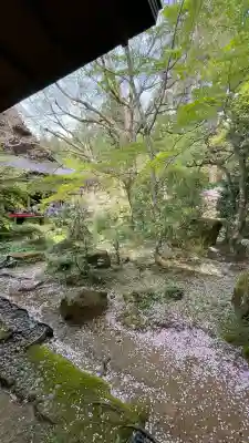 三千院門跡(京都府)