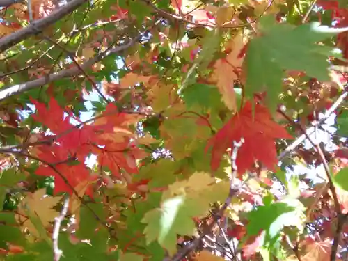 大雪山層雲峡神社(北海道)