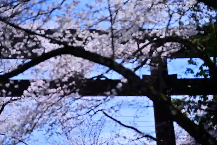 冨士御室浅間神社(山梨県)