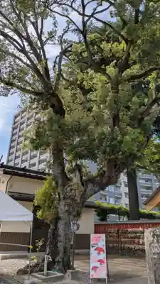 榴岡天満宮(宮城県)