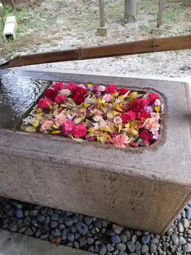 八幡神社の手水