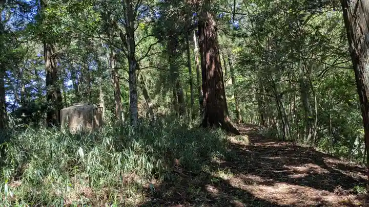 末廣神社の自然