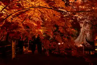 北野天満宮(京都府)