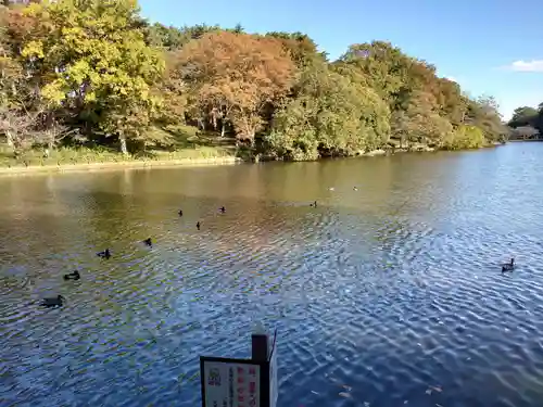 埼玉縣護國神社の周辺