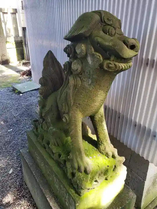 菟橋神社の狛犬