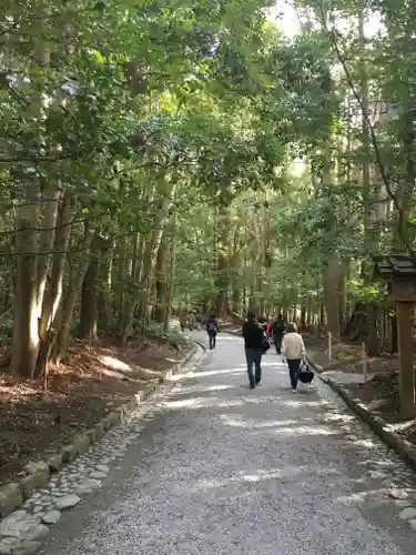 伊勢神宮内宮（皇大神宮）の自然