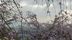 大神神社の自然