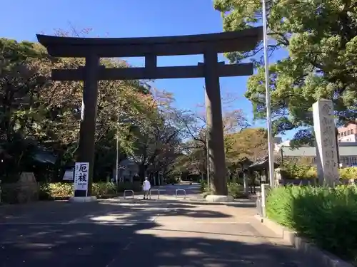 愛知縣護國神社の鳥居