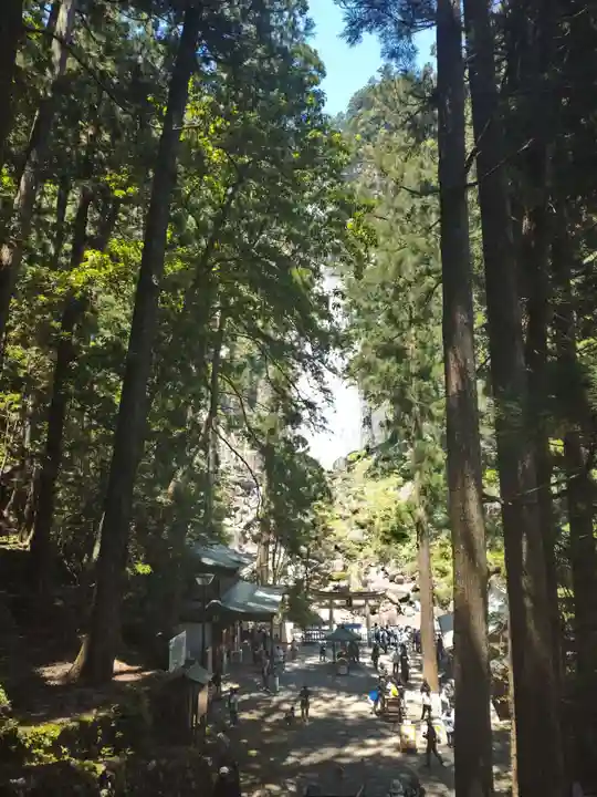 飛瀧神社(熊野那智大社別宮)(和歌山県)