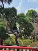 清水観音堂(東京都)