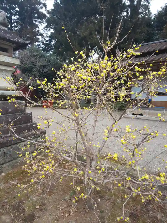 芳賀天満宮の自然