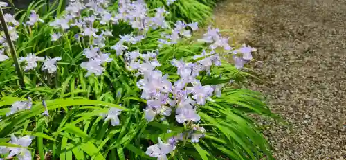 愛敬院(宮城県)