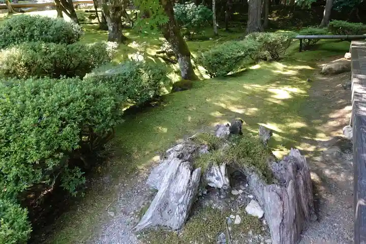 若狭神宮寺の庭園