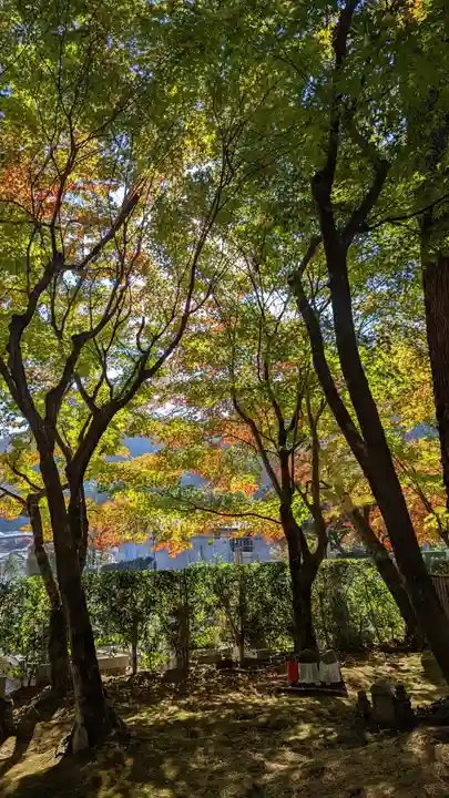 化野念仏寺(京都府)
