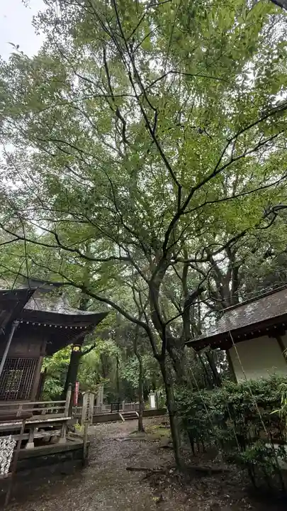 秦神社(高知県)