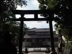 大井神社の鳥居
