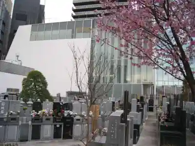 梅窓院(東京都)