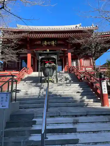 浄心寺(東京都)
