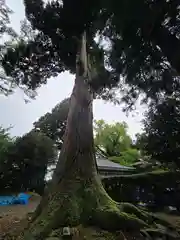 六所神社(京都府)