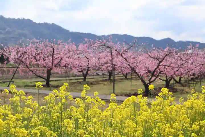 八坂神社(和歌山県)