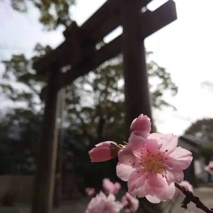 豊山八幡神社(福岡県)