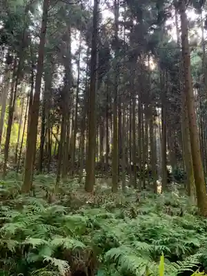 玉田神社(千葉県)