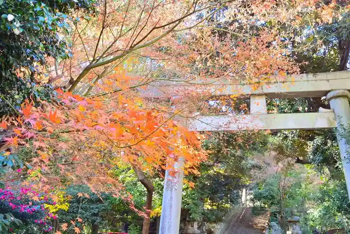 赤坂氷川神社(東京都)
