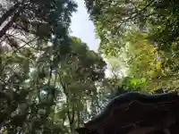 大日天子堂の自然