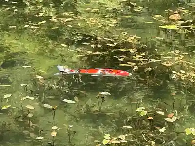 根道神社(岐阜県)