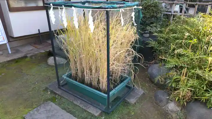 品川神社(東京都)