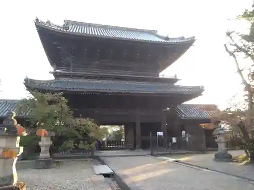 大樹寺（松安院大樹寺）(愛知県)