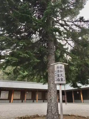 北海道神宮の自然