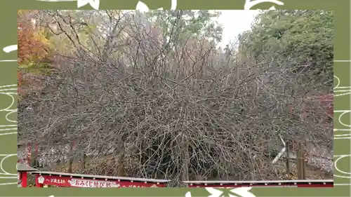 冠稲荷神社(群馬県)